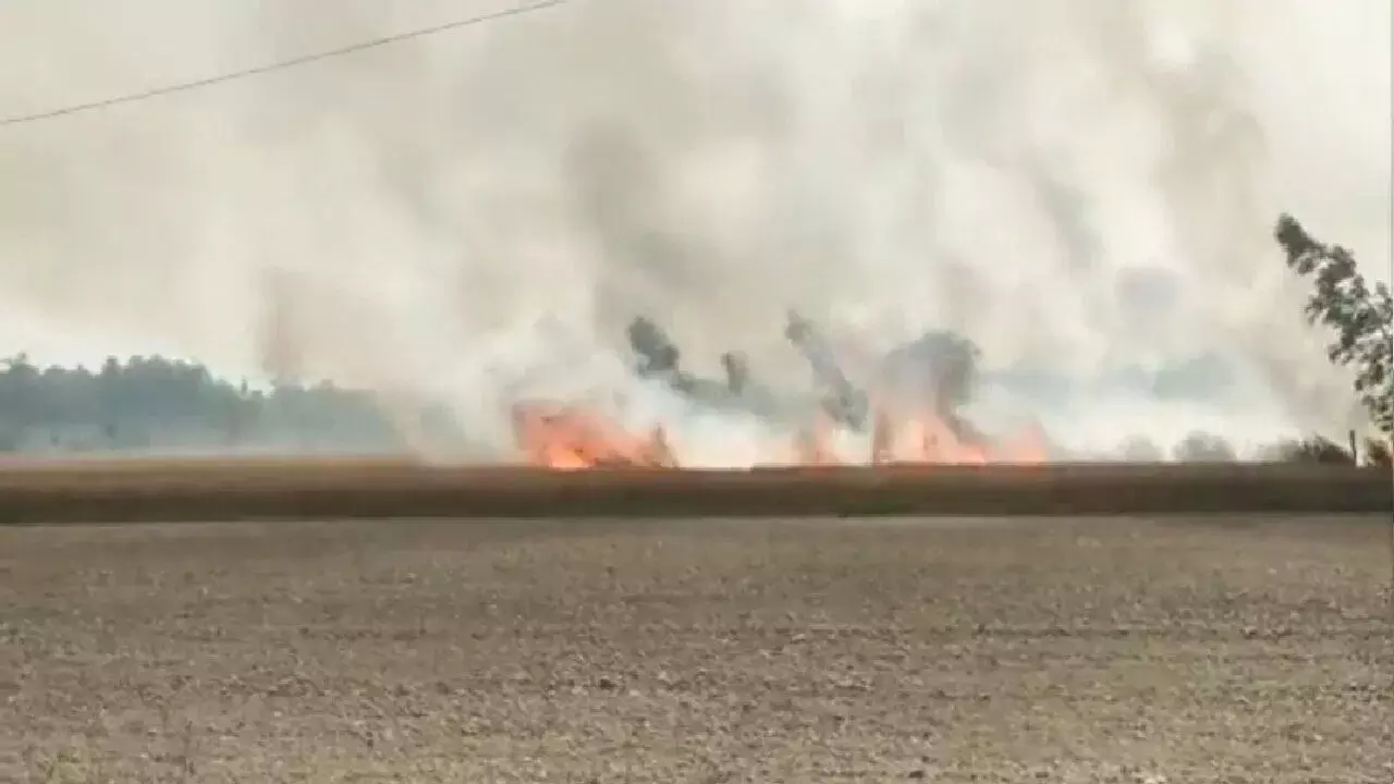 दमोह में गेहूं के खेत में शॉर्ट सर्किट के चलते लगी आग