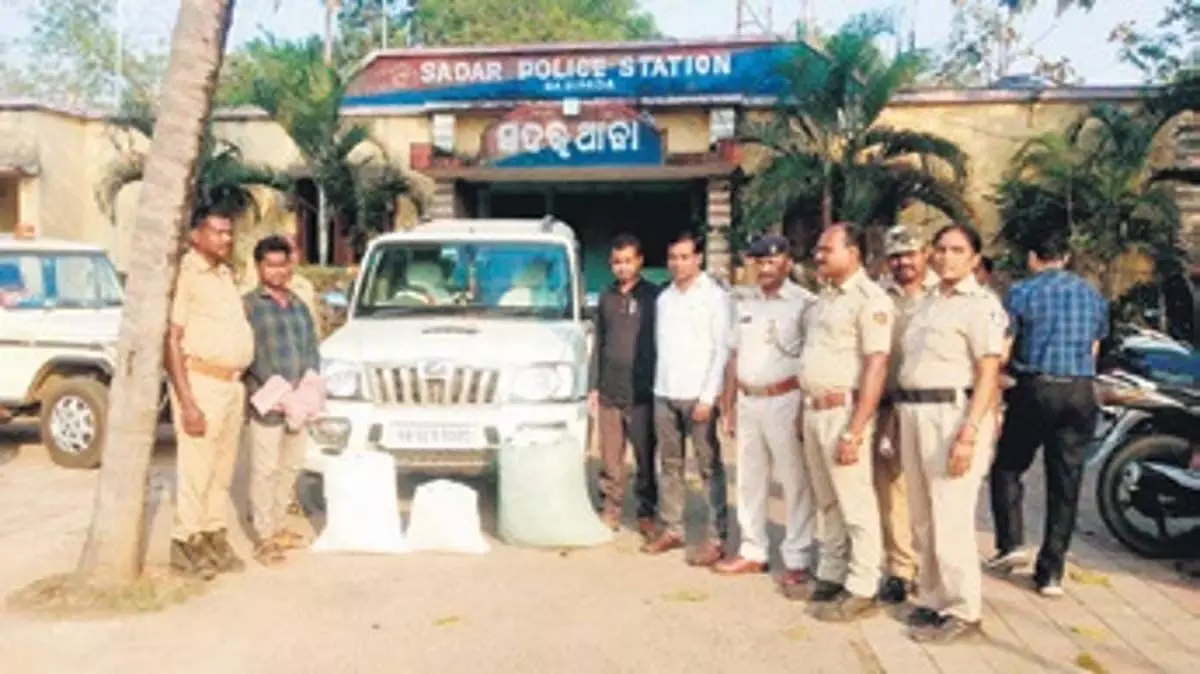 ओडिशा के मयूरभंज में 40 किलोग्राम से अधिक गांजे के साथ तीन गिरफ्तार