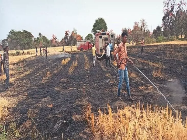 शॉर्ट सर्किट की चिंगारी से खेत में लगी आग