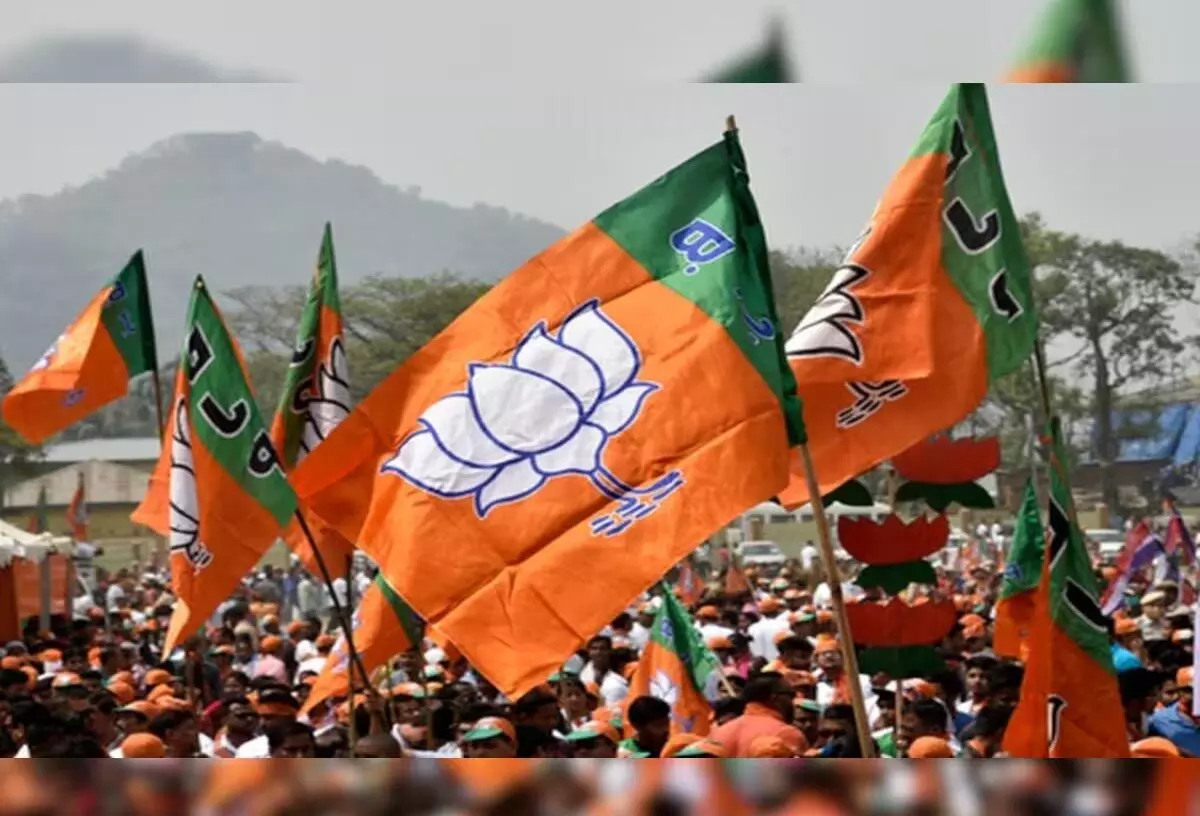 BJP के बड़े नेता छत्तीसगढ़ में करेंगे चुनाव प्रचार, पार्टी ने बनाया स्टार प्रचारक
