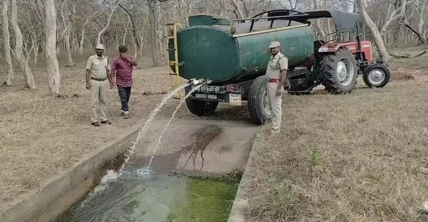 नीलगिरि बायोस्फीयर रिजर्व में जल स्रोत सूखे, टैंकर सेवा शुरू