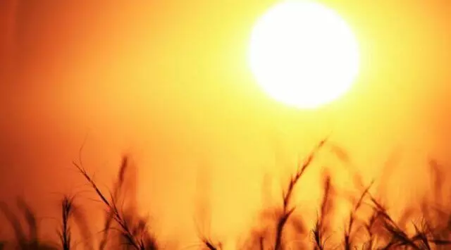 ओडिशा में असहनीय गर्मी, अप्रैल तक राज्य में तापमान 40 डिग्री सेल्सियस को पार कर जाएगा