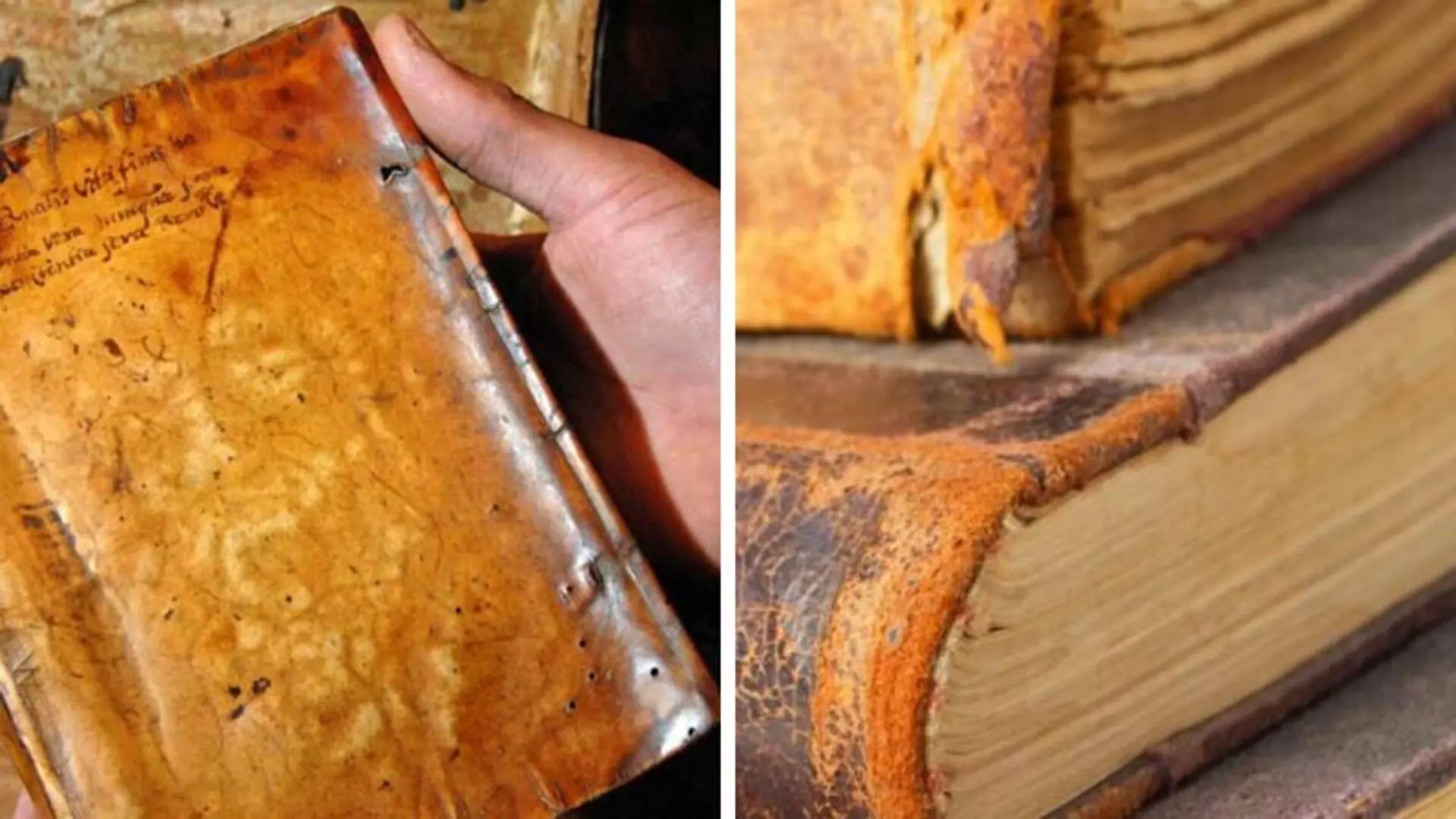 हार्वर्ड लाइब्रेरी द्वारा हटाई गई 19वीं सदी की किताब को बांधने के लिए इस्तेमाल की जाने वाली मानव त्वचा