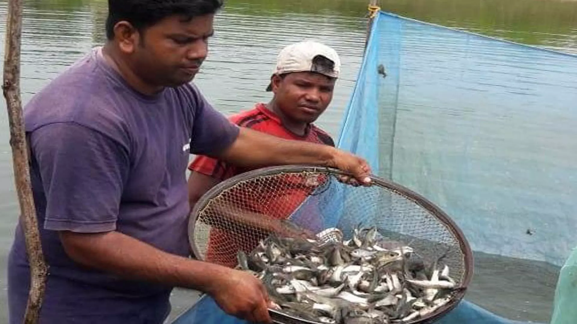 दक्षिण ओडिशा मछली प्रेरणा उत्पादन बढ़ाने में  योगदान