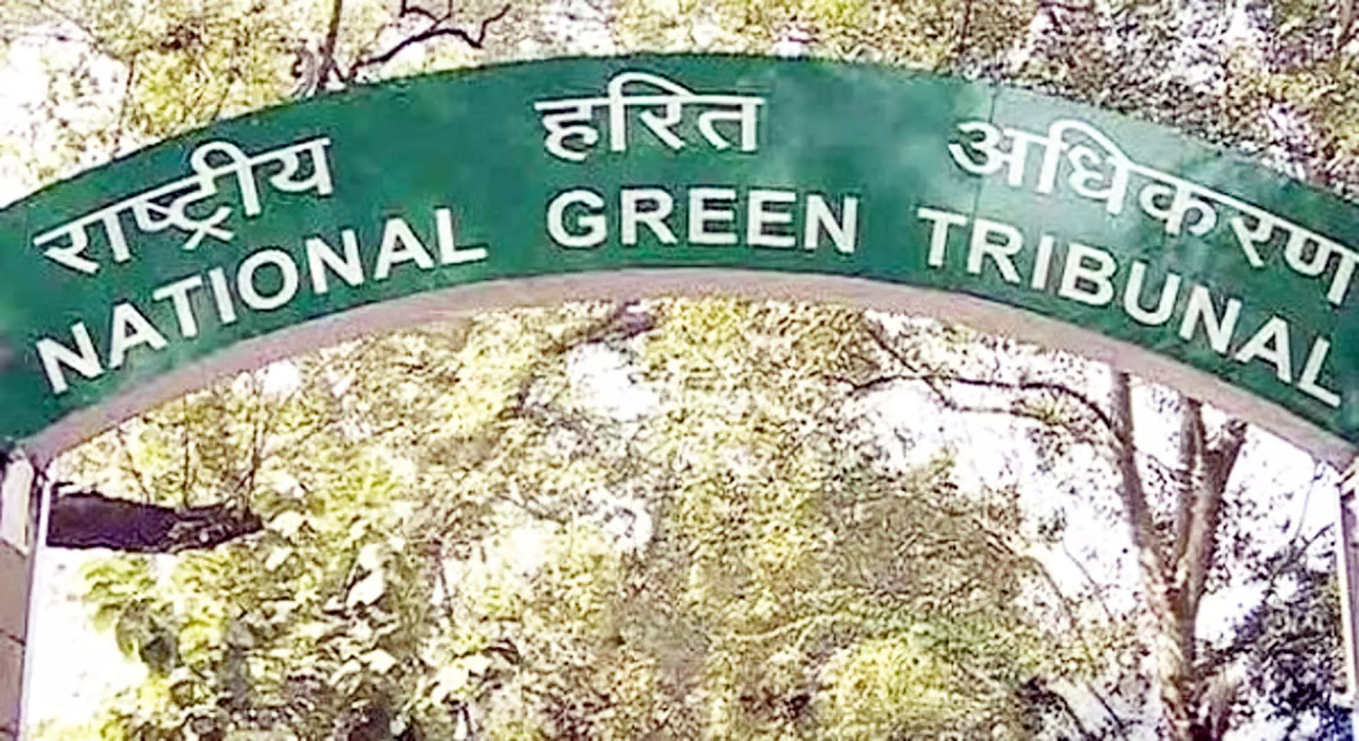 एनजीटी ने आंध्र प्रदेश में पर्यावरण के प्रति संवेदनशील पर्यटन स्थलों पर खतरे की रिपोर्ट पर जवाब मांगा