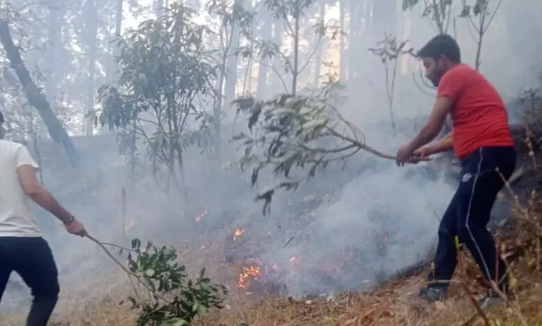 कालीमठ घाटी के जंगल में आग, वन विभाग परेशान
