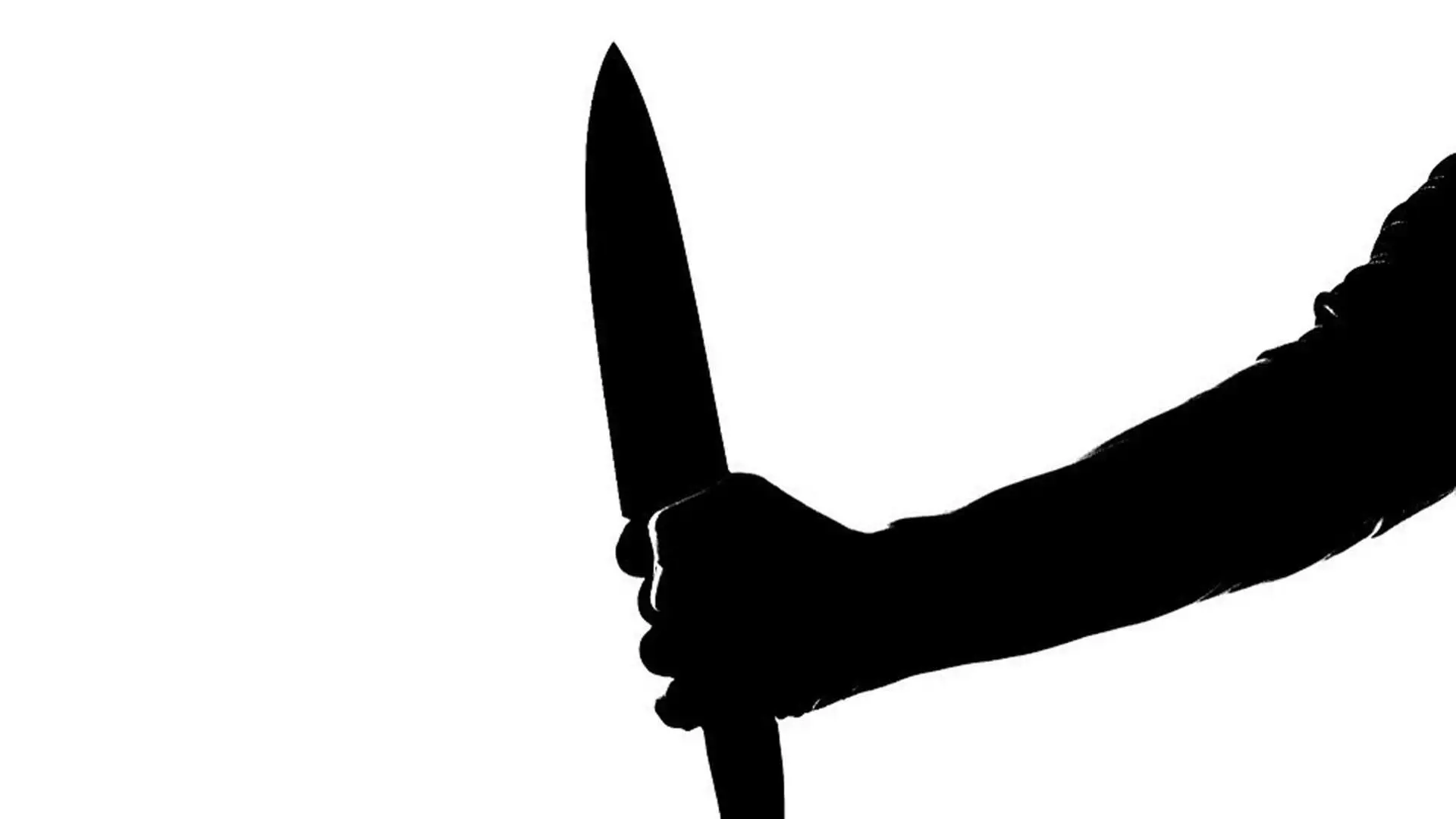 बैग चोरी के दौरान वेटर की चाकू मारकर हत्या, हत्यारे फरार
