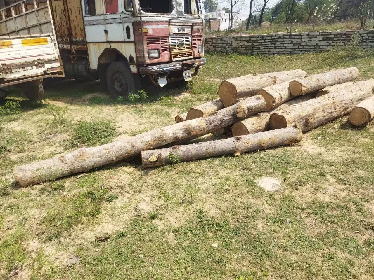 पिकअप से सागौन लकड़ी की तस्करी, पुलिस ने कार्रवाई कर वन विभाग को सौंपा