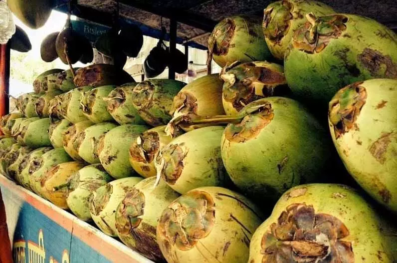 ग्राहक ने 10 रुपए ज्यादा लेने का किया विरोध, तो पीटने लगा नारियल बेचने वाला