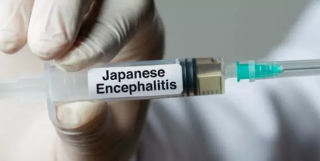 जाएँ क्यों जरूरी है जापानी इंसेफेलाइटिस का टीका