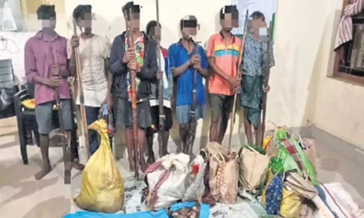 ओडिशा के सिमिलिपाल में 9 शिकारियों को आग्नेयास्त्रों, सांभर के मांस के साथ गिरफ्तार किया गया