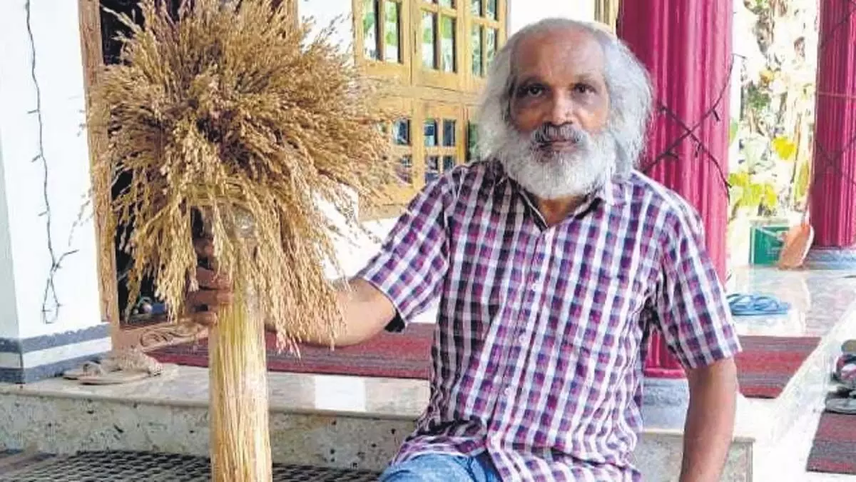 इडुक्की के किसान ने देशी चावल की किस्म को मौका दिया