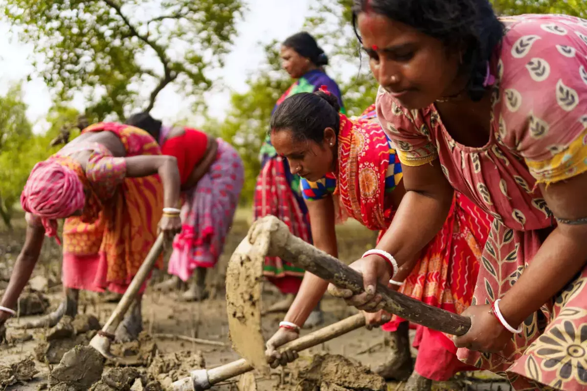 भारत और बांग्लादेश को मिलकर जलवायु प्रवासन को संबोधित करना चाहिए