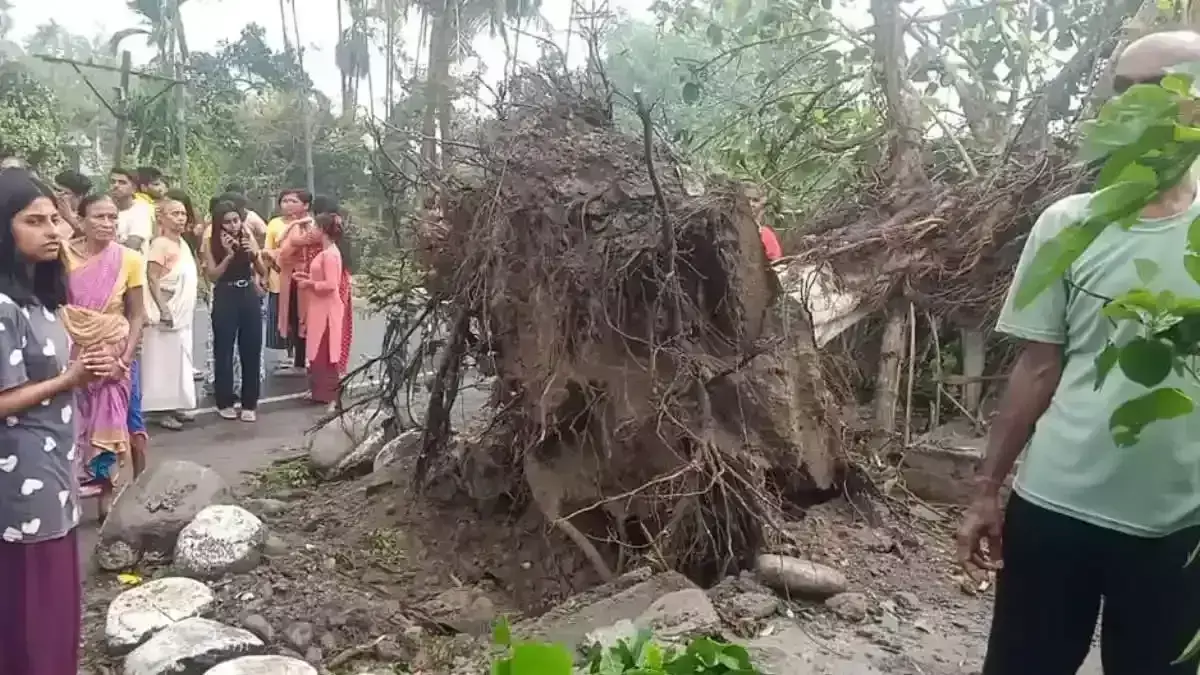 जलपाईगुड़ी में कालबैसाखी तूफान, पेड़ गिरने से 2 की मौत