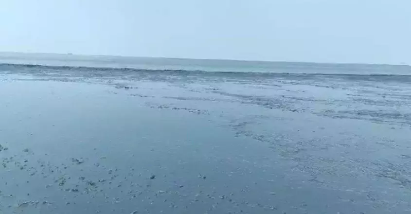 अलाप्पुझा के पुरक्कड़ में समुद्र फिर से असामान्य रूप से घटने लगा