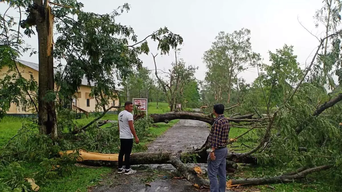 त्रिपुरा में तूफान से 616 घरों को नुकसान पहुंचा, सिपाहीजला जिला सबसे ज्यादा प्रभावित हुआ