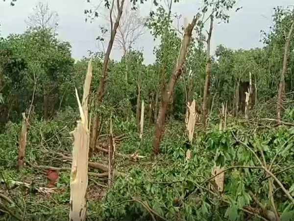 त्रिपुरा में भारी तूफान के कारण एक की मौत, सात परिवारों को राहत शिविरों में पहुंचाया गया