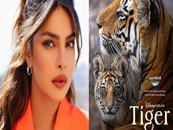 प्रियंका चोपड़ा ने नई फिल्म टाइगर को दी आवाज, रिलीज डेट का किया ऐलान