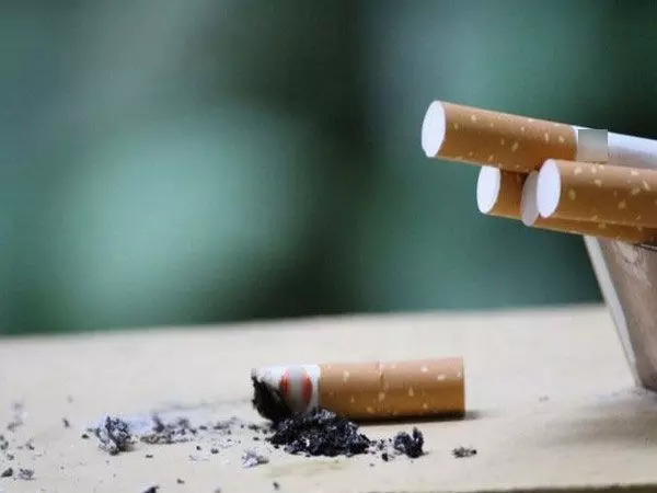 एशडोड के व्यक्ति पर लाखों की सिगरेट की तस्करी का आरोप