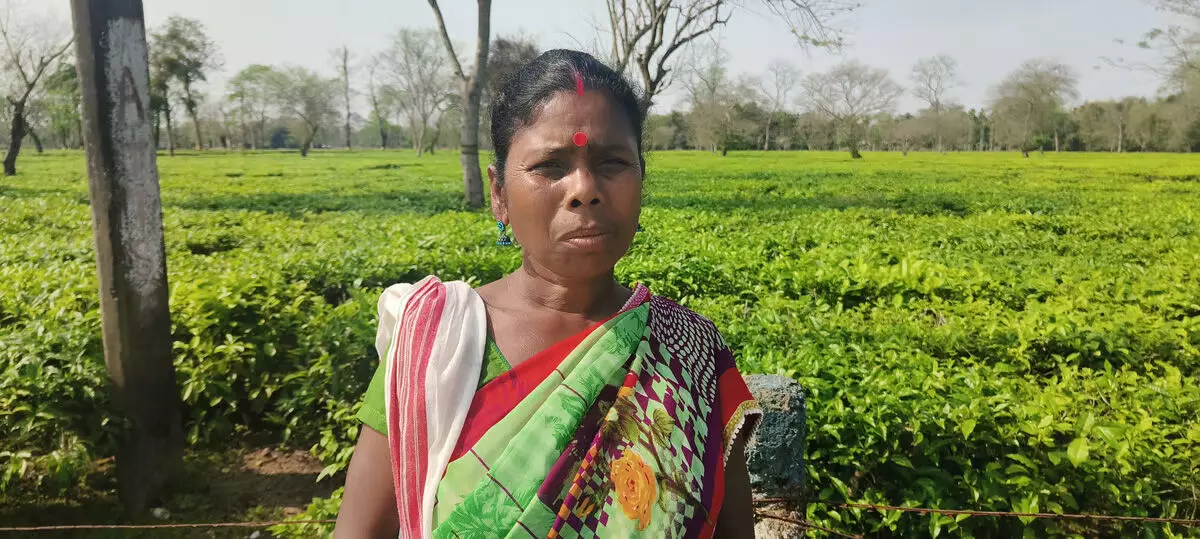 सरकारी कल्याण योजनाएं गरीब चाय बागान महिलाओं के लिए एक दूर का सपना