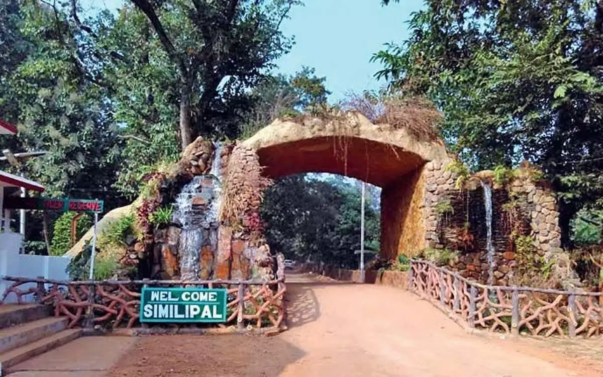 ओडिशा में बथुडी समुदाय ने सिमिलिपाल नेशनल पार्क में पर्यटकों के प्रवेश पर रोक लगा दी