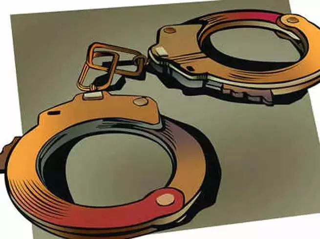 गोगी-कपिल मान गैंग के दो वांटेड शार्पशूटर गिरफ्तार