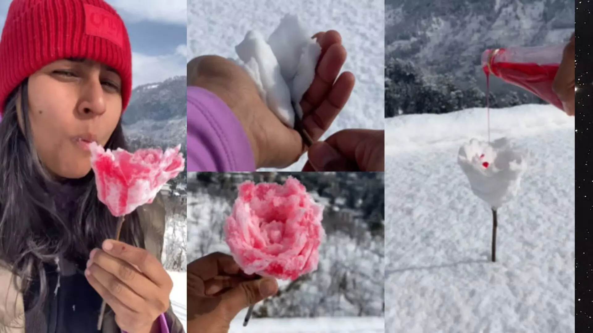 बर्फ से तैयार की गुलाब की आइसक्रीम, गोले की तरह खाया, देखें वीडियो...