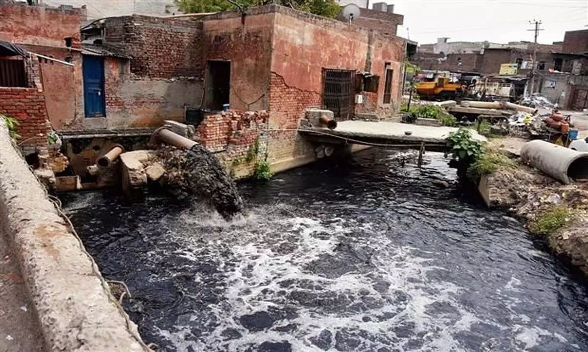 लुधियाना निवासियों का कहना है कि रंगाई इकाइयों का अपशिष्ट गंदा नाला को प्रदूषित कर रहा