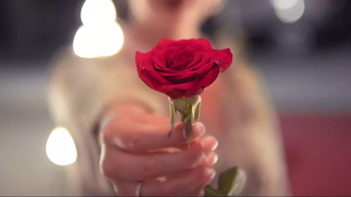 युवाओं ने गुलाब का फूल देकर उठाया स्वच्छ अभियान का जिम्मा