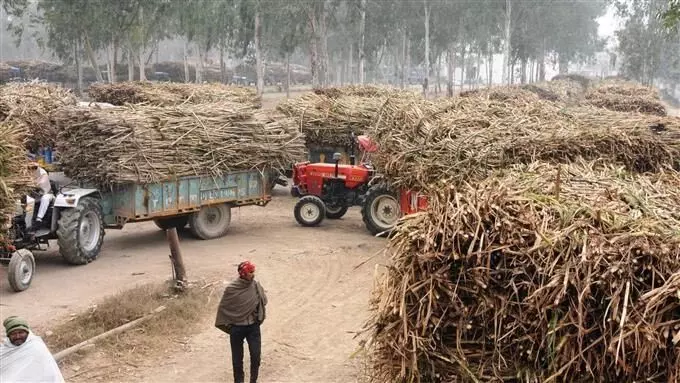 बकाया भुगतान नहीं होने पर गन्ना किसान आंदोलन तेज करेंगे