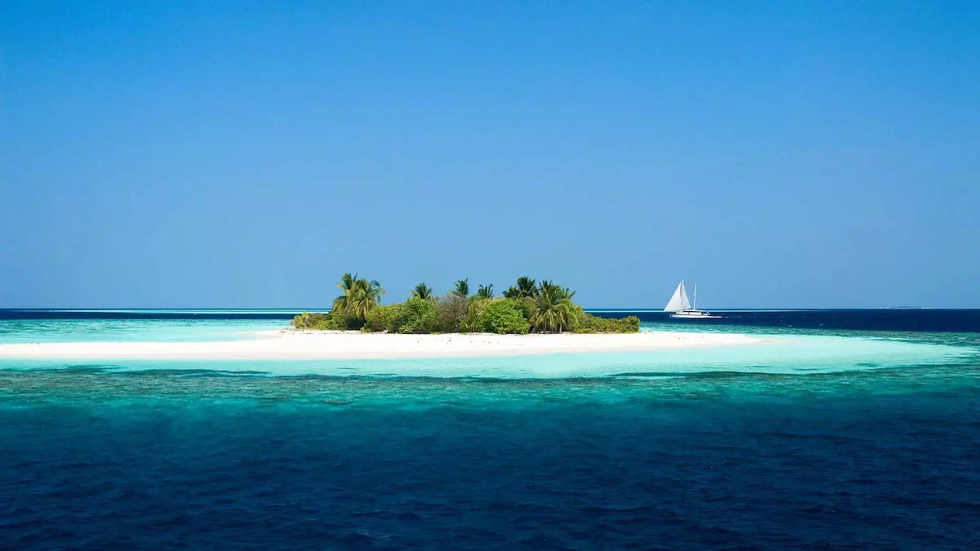 भारत तनावपूर्ण संबंधों के बावजूद मालदीव को आवश्यक वस्तुओं का निर्यात करेगा