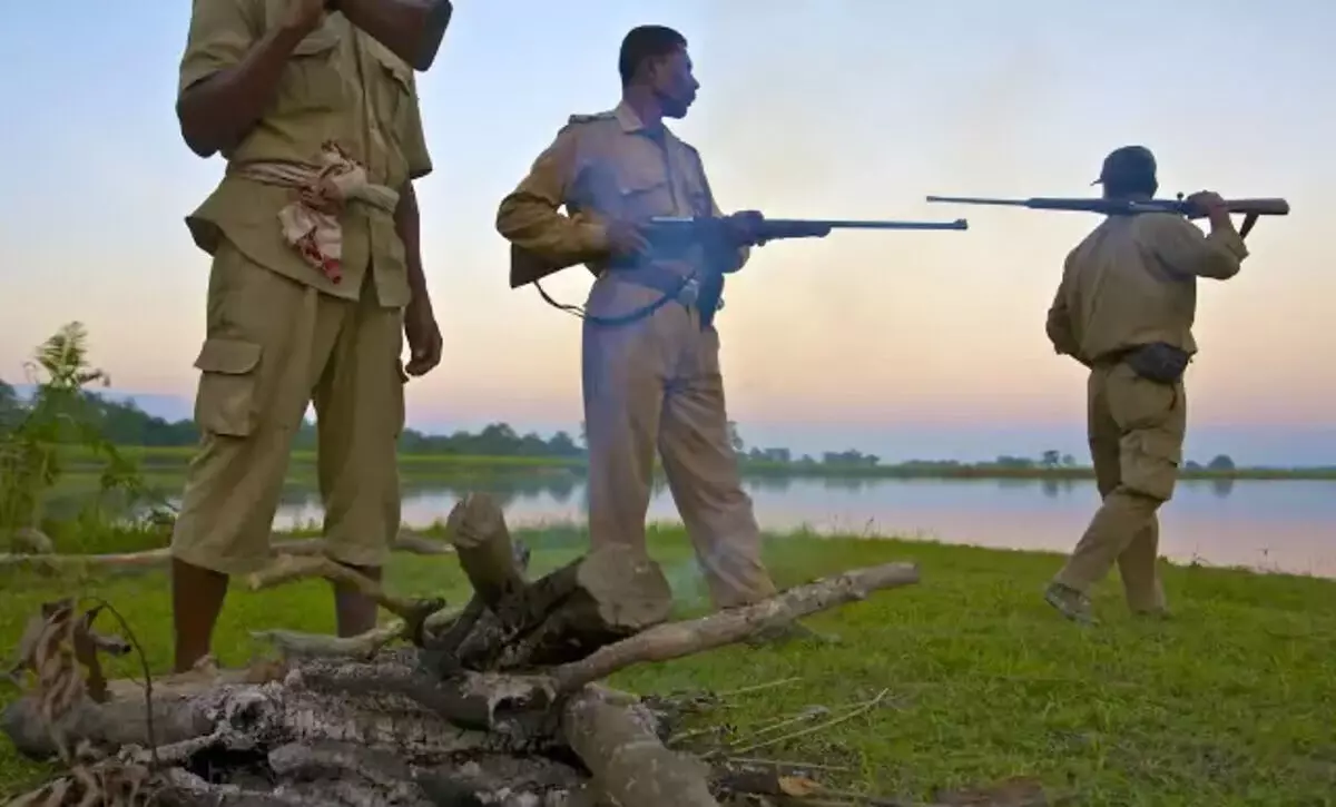 काजीरंगा में शिकारियों के साथ भीषण गोलीबारी; वन अधिकारी घायल