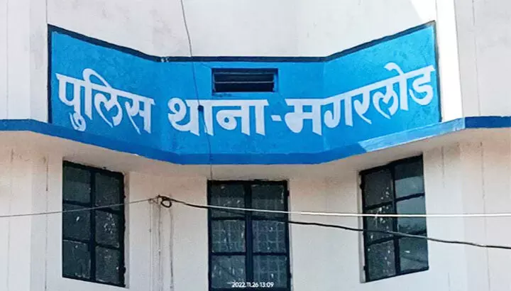 मगरलोड में महुआ शराब परोसने वाला गिरफ्तार