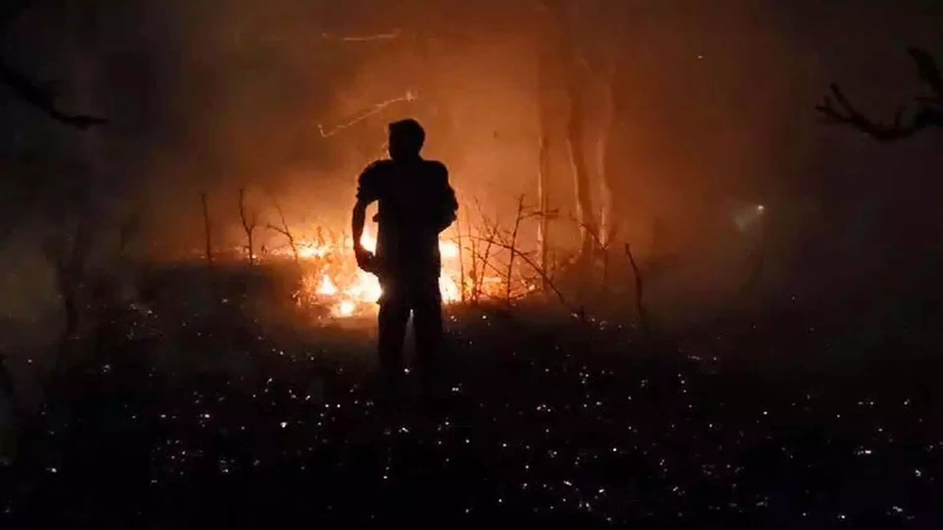 वन विभाग  कर्मियों ने नल्लामल्ला में लगी आग पर काबू पाया, ग्रामीणों से मदद की अपील
