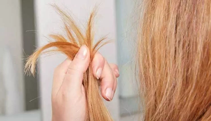 दोमुंहे बालों के इलाज के लिए 6 DIY हेयर मास्क