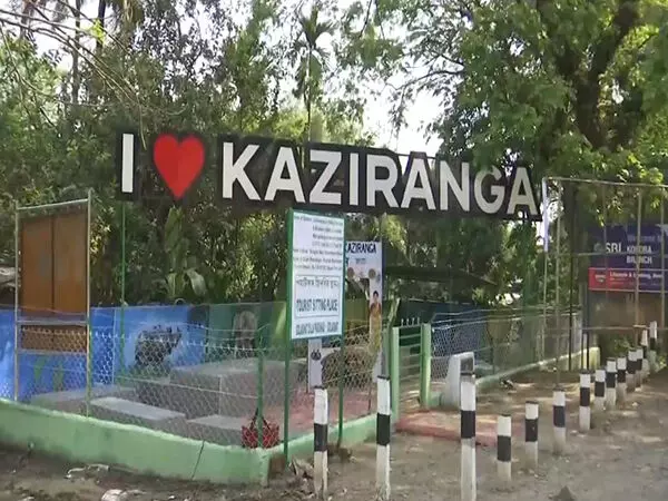 काजीरंगा राष्ट्रीय उद्यान में 2023-24 में पर्यटकों की ऐतिहासिक आमद देखी गई, रिकॉर्ड 3.27 लाख पर्यटक आए