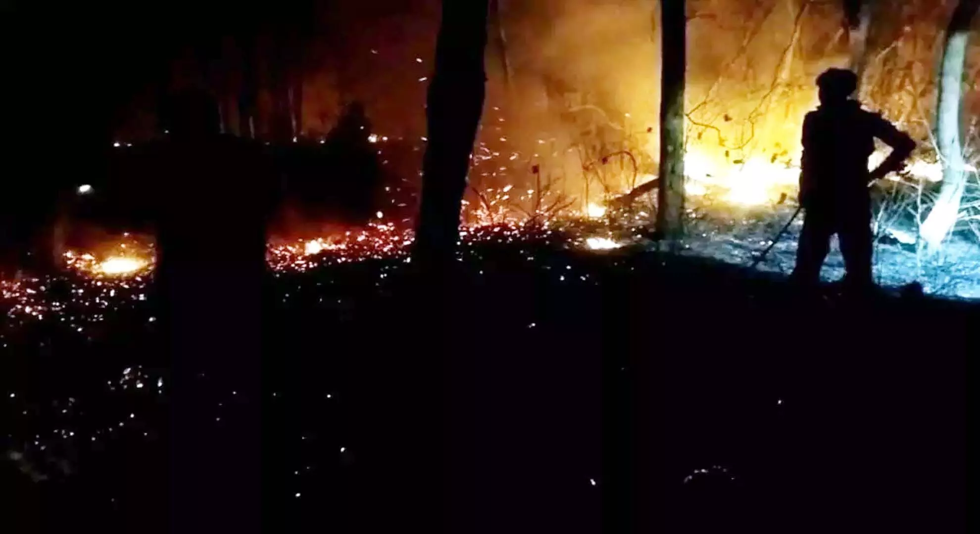 आग बुझाने के लिए वन विभाग के अधिकारियों ने कड़ी मेहनत की
