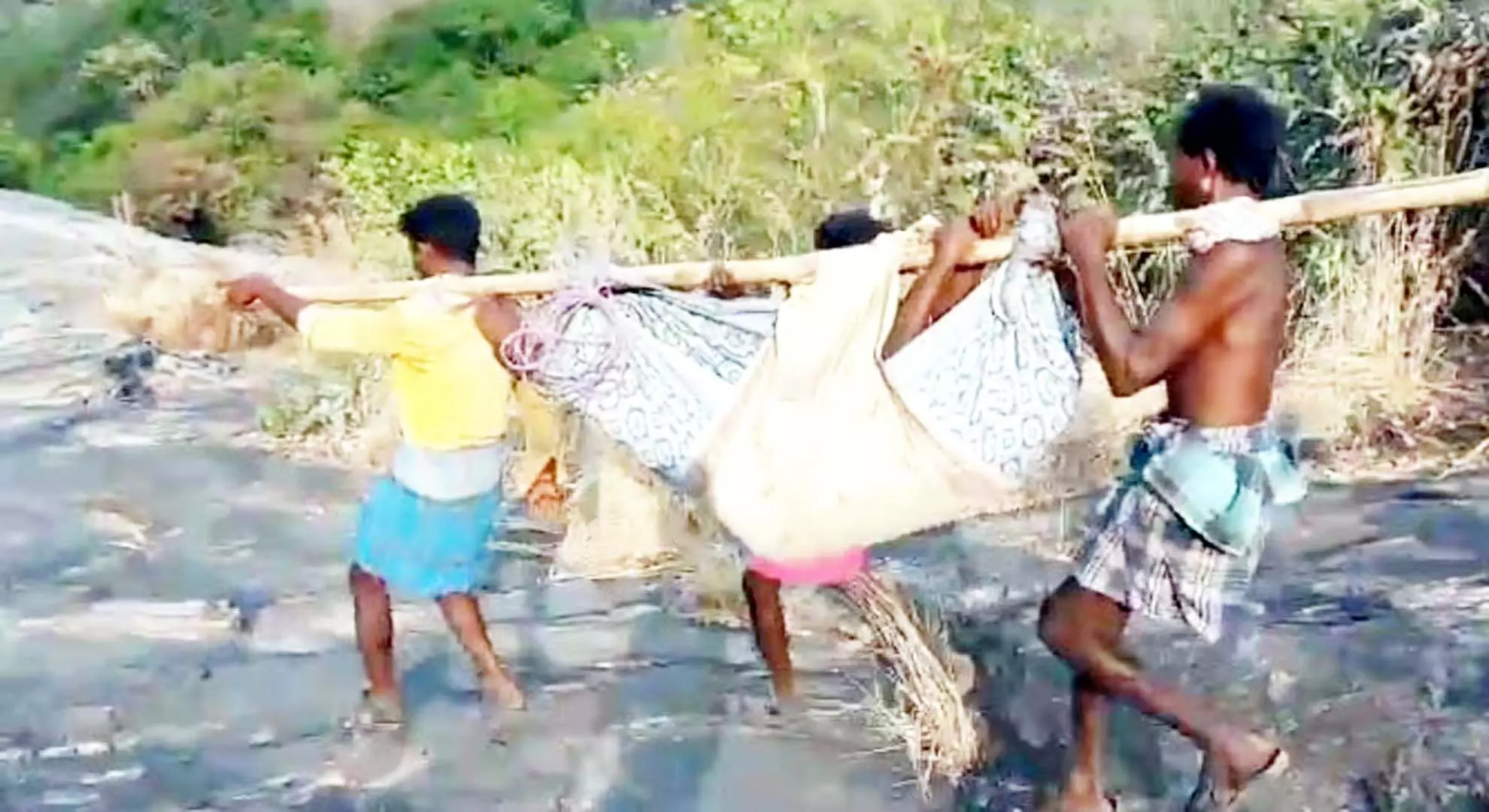 सड़क के अभाव में आदिवासी परिवार को गर्भवती महिला को पालने में ले जाना पड़ता है