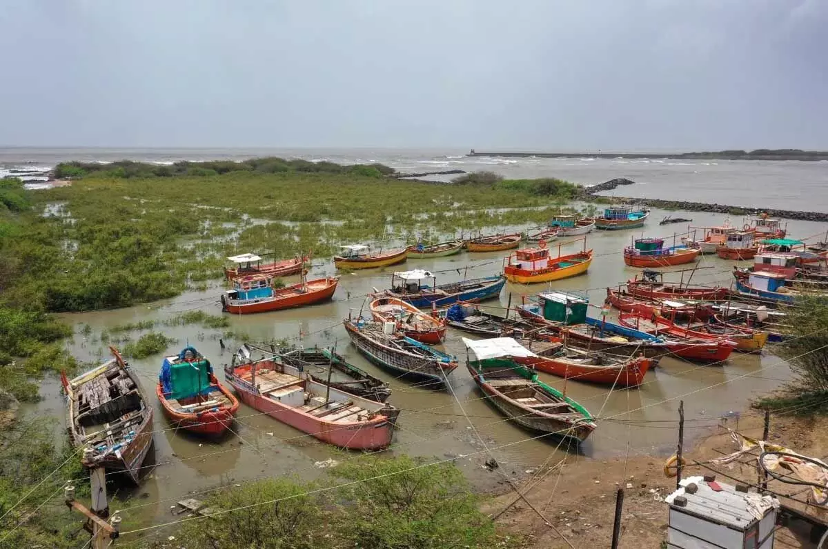आंध्र प्रदेश में 15 अप्रैल से 14 जून तक समुद्री मछली पकड़ने पर प्रतिबंध