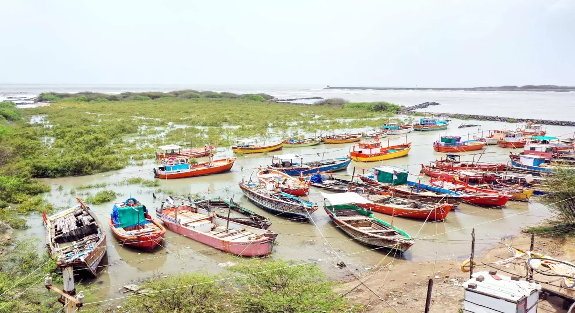 आंध्र प्रदेश में 15 अप्रैल से 14 जून तक समुद्री मछली पकड़ने पर प्रतिबंध