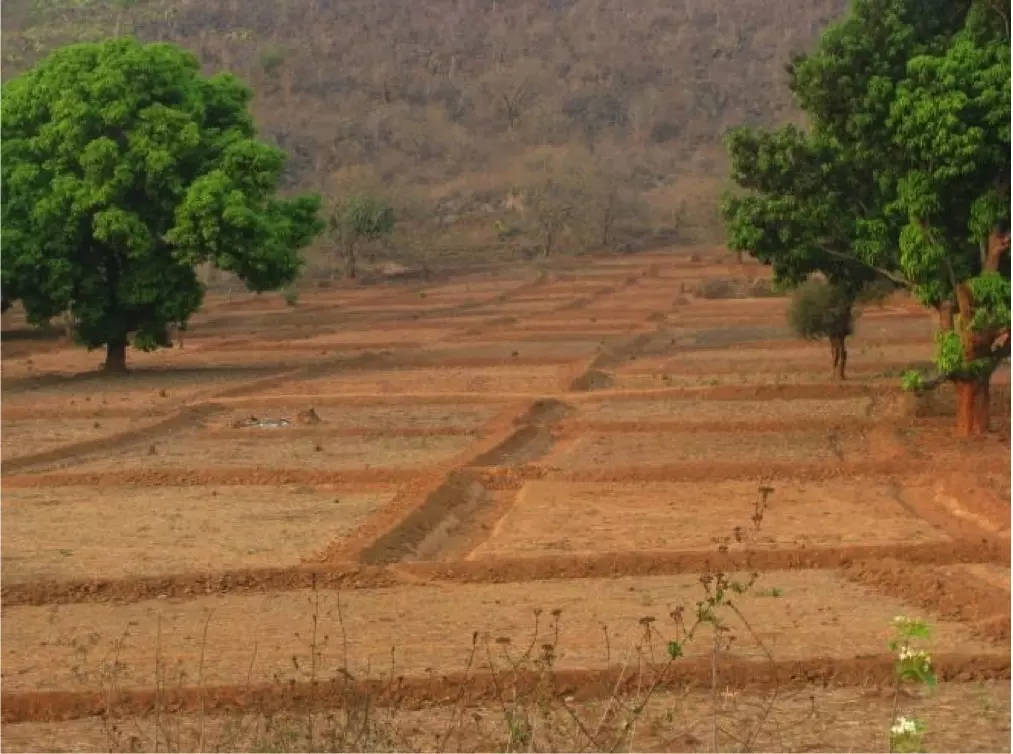 विकासनगर विकास खण्ड के गांवों में 16 करोड़ की योजना से 380 हेक्टेयर सिंचित होगी कृषि भूमि
