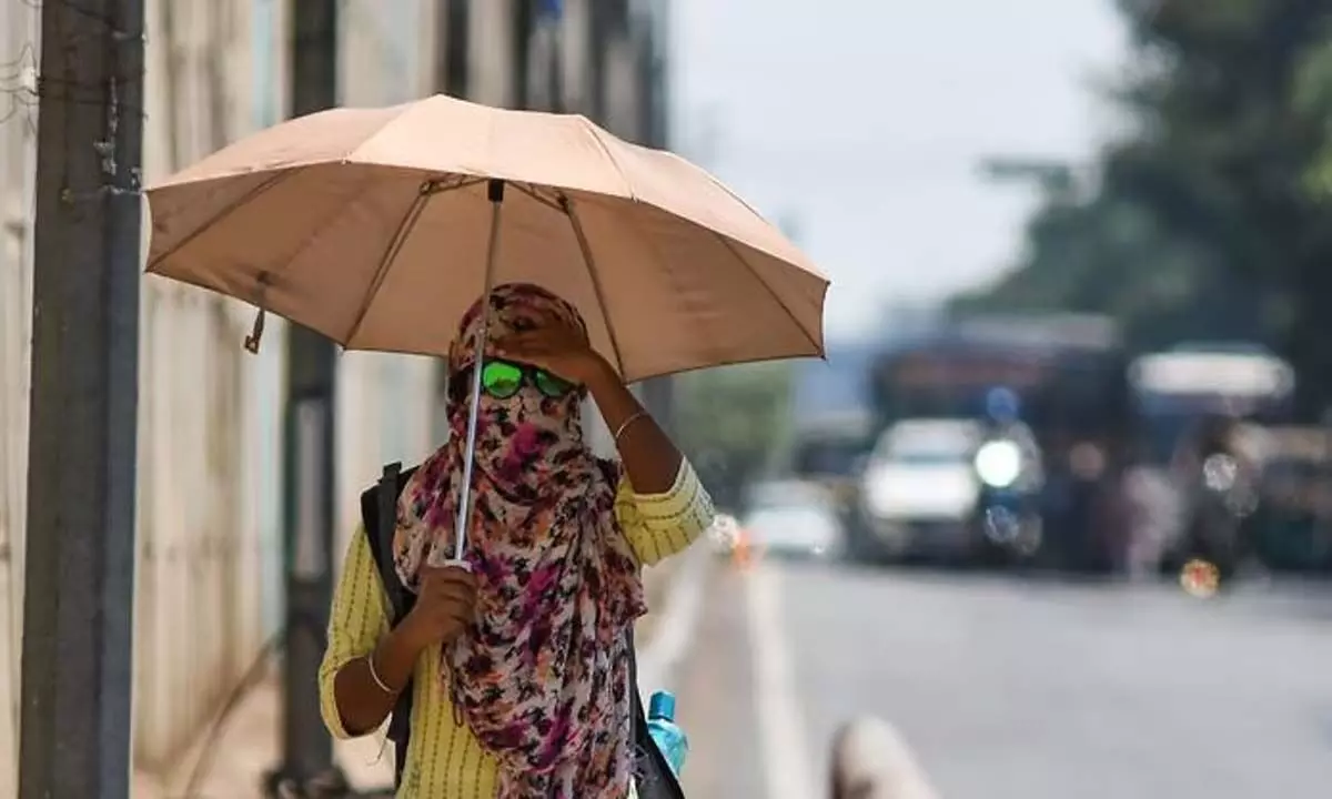 मदुरै में तापमान 41 डिग्री सेल्सियस पर, विशेषज्ञ सावधानी बरतने की सलाह