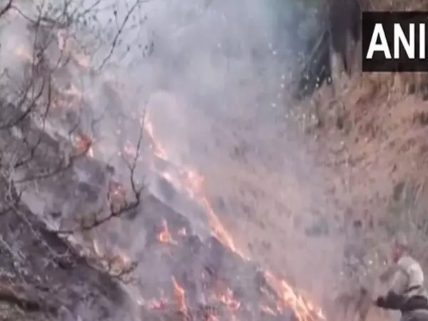 बांदीपोरा वन क्षेत्र में लगी आग