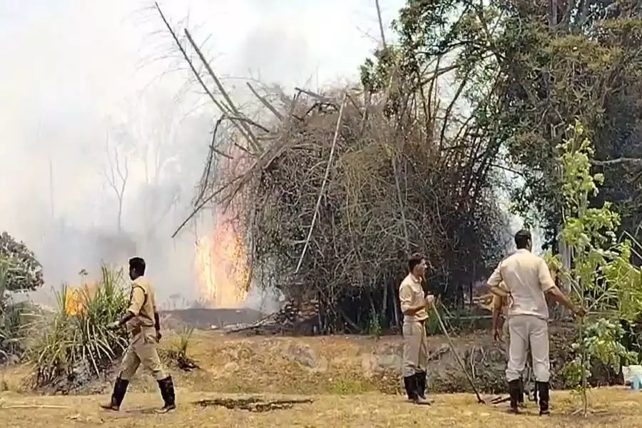 वायनाड में जंगल में लगी आग