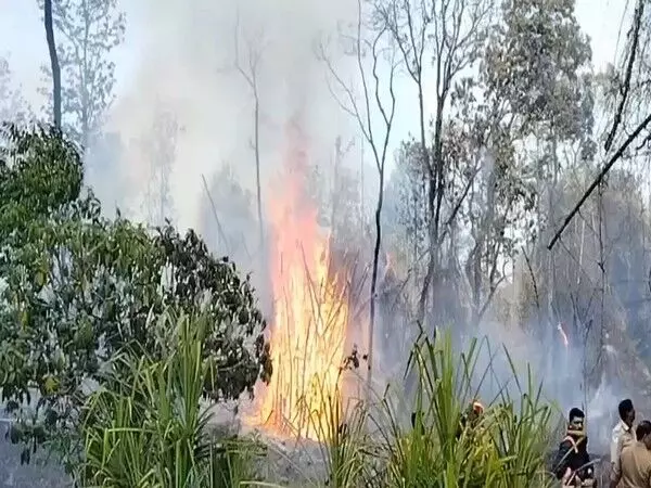 वायनाड में जंगल में लगी आग