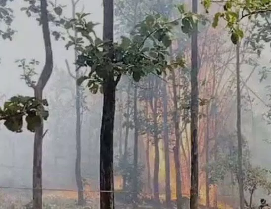 वायनाड के मुथांगा में जंगल की आग ने 20 किलोमीटर क्षेत्र को अपनी चपेट में ले लिया
