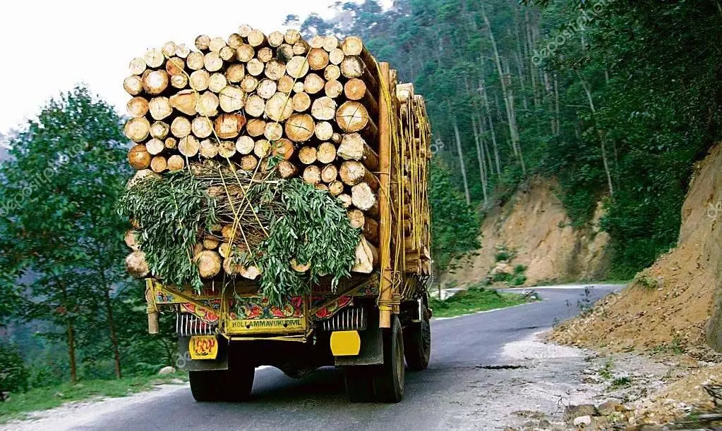 अब, सरकारी पोर्टल के माध्यम से वन उपज के परिवहन के लिए ऑनलाइन परमिट प्राप्त करें