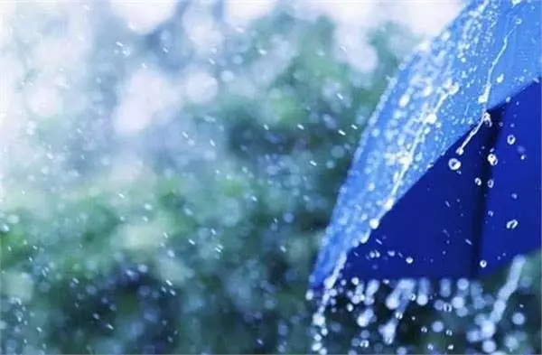 तेलंगाना में बारिश और गरज के साथ बारिश जारी