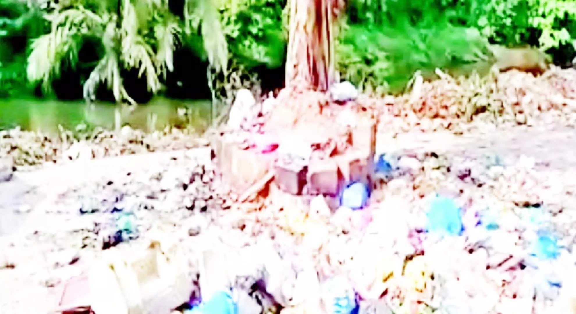 मापुसा के नागरिकों ने टार नदी पर बढ़ते कचरे के खतरे पर चिंता जताई