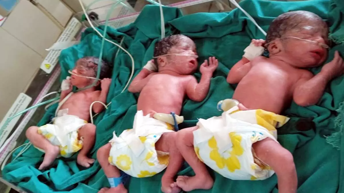 उज्जैन में महिला ने तीन बच्चों को दिया जन्म ,मां और तीनों बच्चे स्वस्थ